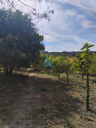 Imagem Imóvel com 3 Quartos à Venda, 1.300 m² em Zona Rural - Piracema Imagem Imóvel com 3 Quartos à Venda, 1.300 m² em Zona Rural - Piracema