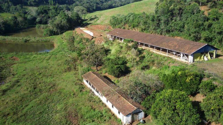Imagem Terreno à Venda, 170.000 m² em Interior - Concórdia Imagem Terreno à Venda, 170.000 m² em Interior - Concórdia