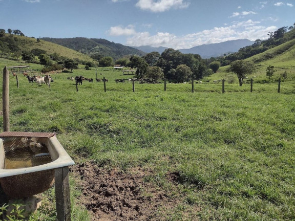 Imagem Fazenda à Venda, 100 m² em Zona Rural - Itamonte