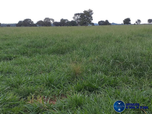 Imagem Fazenda à Venda, 44 m² em Zona Rural - Matrinchã Imagem Fazenda à Venda, 44 m² em Zona Rural - Matrinchã