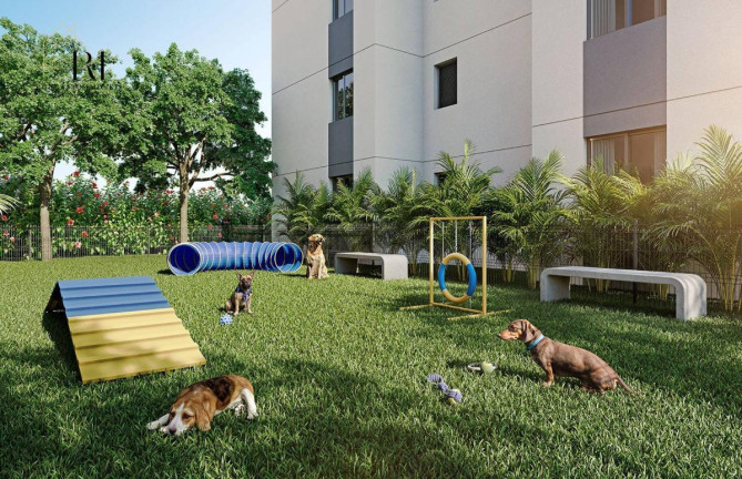 Imagem Apartamento com 2 Quartos à Venda, Imagem Apartamento com 2 Quartos à Venda,