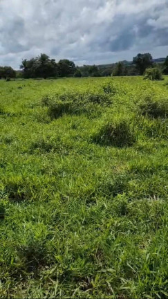 Imagem Fazenda à Venda, 90 m² em Zona Rural - Montes Claros De Goiás Imagem Fazenda à Venda, 90 m² em Zona Rural - Montes Claros De Goiás
