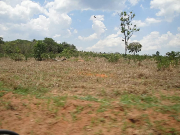 Imagem Fazenda à Venda, 500 m² em Zona Rural - Paranatinga Imagem Fazenda à Venda, 500 m² em Zona Rural - Paranatinga