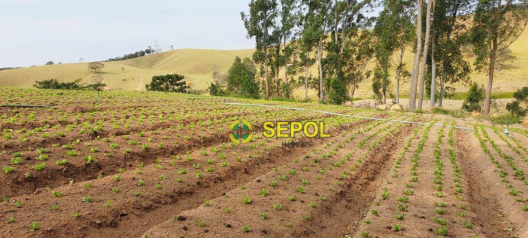 Imagem Terreno à Venda, 19.000 m² em Jardim Do Pinhal - Pinhalzinho Imagem Terreno à Venda, 19.000 m² em Jardim Do Pinhal - Pinhalzinho