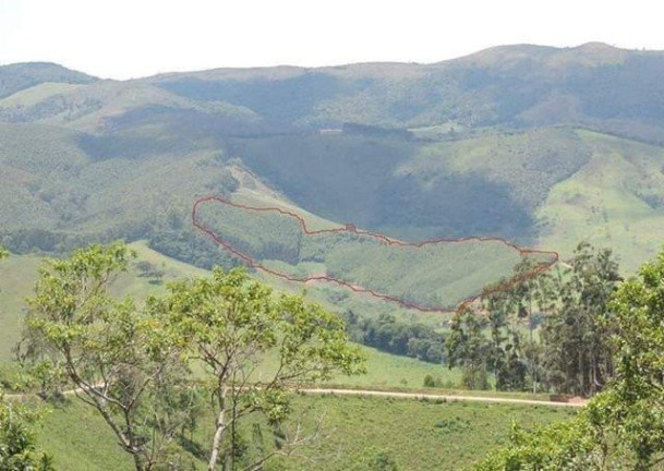Imagem Terreno à Venda, 5.000 m² em Cunha