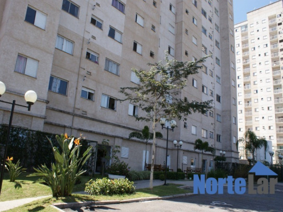 Imagem Apartamento com 2 Quartos à Venda, 47 m² em Jardim Modelo - São Paulo Imagem Apartamento com 2 Quartos à Venda, 47 m² em Jardim Modelo - São Paulo