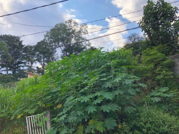 Imagem Terreno à Venda, 780 m² em Jardim Rebelato - Cotia Imagem Terreno à Venda, 780 m² em Jardim Rebelato - Cotia