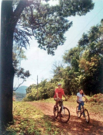 Imagem Terreno em Condomínio à Venda, 1.035 m² em Condomínio Mãe Terra - Brumadinho Imagem Terreno em Condomínio à Venda, 1.035 m² em Condomínio Mãe Terra - Brumadinho