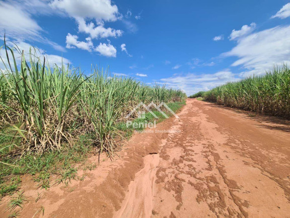 Imagem Fazenda à Venda, 500 m² em Luis Antonio - Luís Antônio Imagem Fazenda à Venda, 500 m² em Luis Antonio - Luís Antônio