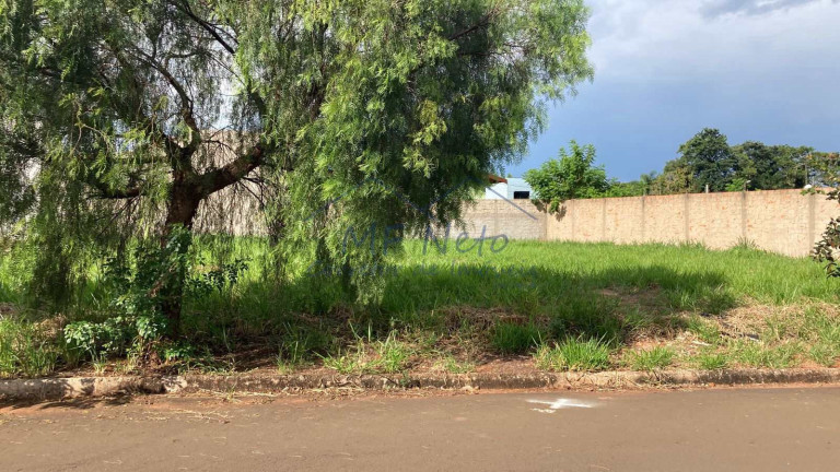 Imagem Terreno à Venda, 262 m² em Jardim Residencial San Martinho - Pirassununga Imagem Terreno à Venda, 262 m² em Jardim Residencial San Martinho - Pirassununga