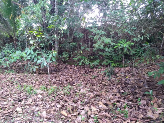 Imagem Imóvel à Venda, em Rural - Uruçuca Imagem Imóvel à Venda, em Rural - Uruçuca