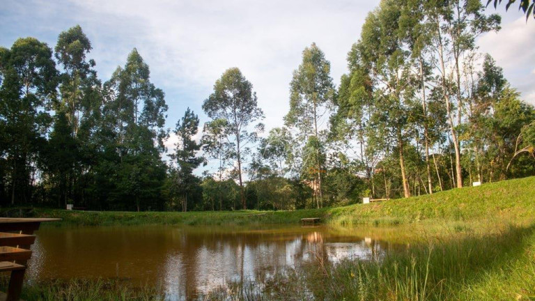 Imagem Terreno à Venda, 282 m² em Vila Rivabem - Campo Largo