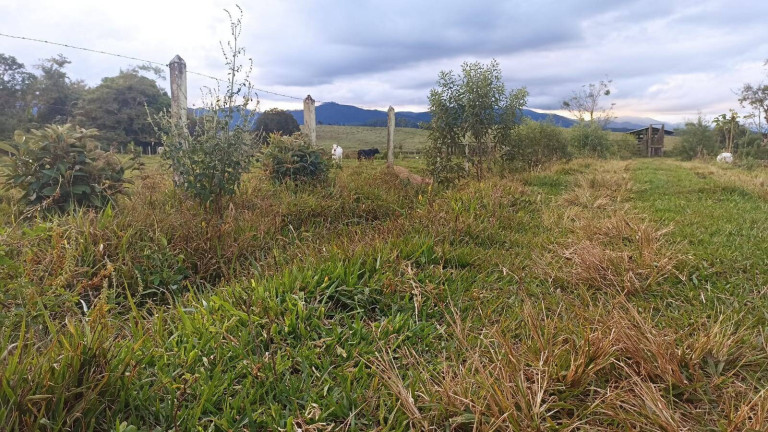 Imagem Fazenda à Venda, 100 m² em Estiva - Taubaté Imagem Fazenda à Venda, 100 m² em Estiva - Taubaté