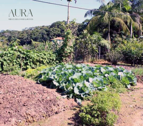 Imagem Chácara com 2 Quartos à Venda, 1 m² em Campeche - Itajaí Imagem Chácara com 2 Quartos à Venda, 1 m² em Campeche - Itajaí