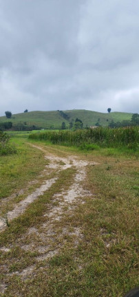 Imagem Chácara com 2 Quartos à Venda, 150 m² em Vila São Germano - Paraibuna