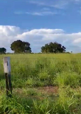 Imagem Fazenda à Venda, 2.000 m² em Cuiabá Imagem Fazenda à Venda, 2.000 m² em Cuiabá