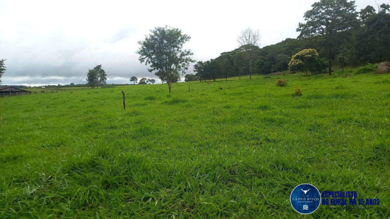 Imagem Chácara à Venda, 1 m² em Zona Rural - Itaberaí Imagem Chácara à Venda, 1 m² em Zona Rural - Itaberaí