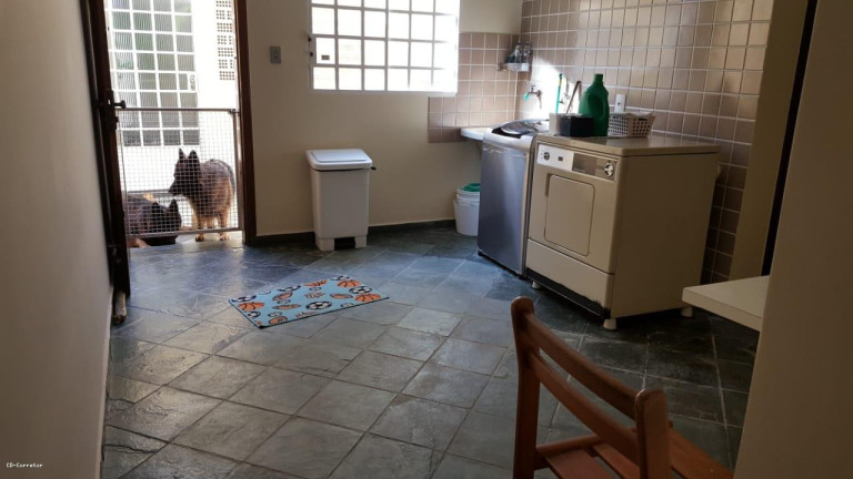 Imagem Sobrado com 3 Quartos à Venda, 125 m² em Vila Floresta - Santo André Imagem Sobrado com 3 Quartos à Venda, 125 m² em Vila Floresta - Santo André