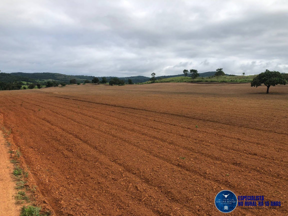 Imagem Fazenda à Venda, 105 m² em Zona Rural - Fazenda Nova Imagem Fazenda à Venda, 105 m² em Zona Rural - Fazenda Nova