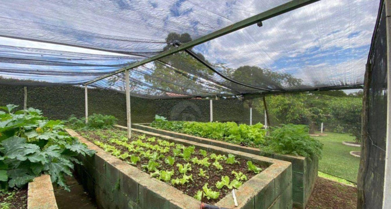 Imagem Terreno à Venda, 5.000 m² em Recanto Das Flores - Indaiatuba Imagem Terreno à Venda, 5.000 m² em Recanto Das Flores - Indaiatuba