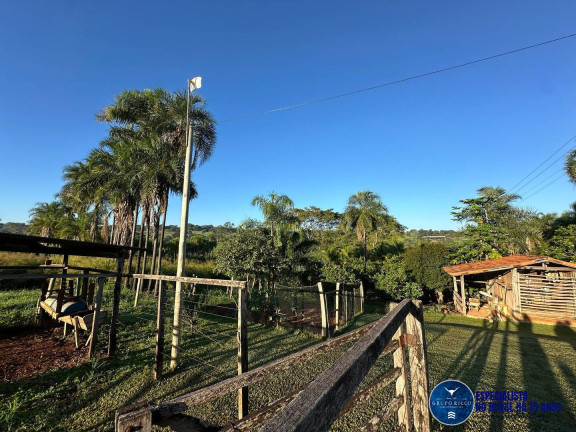 Imagem Chácara à Venda, 2 m² em Zona Rural - Bela Vista De Goiás Imagem Chácara à Venda, 2 m² em Zona Rural - Bela Vista De Goiás