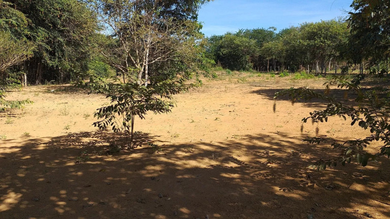 Imagem Terreno à Venda, 4.444 m² em Chácara De Lazer Boa Vista - Sinop Imagem Terreno à Venda, 4.444 m² em Chácara De Lazer Boa Vista - Sinop