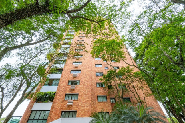 Imagem Imóvel com 4 Quartos à Venda, 236 m² em Morumbi - São Paulo Imagem Imóvel com 4 Quartos à Venda, 236 m² em Morumbi - São Paulo
