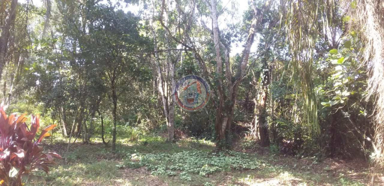 Imagem Fazenda à Venda, 5.000 m² em San Marcos - Itanhaém Imagem Fazenda à Venda, 5.000 m² em San Marcos - Itanhaém