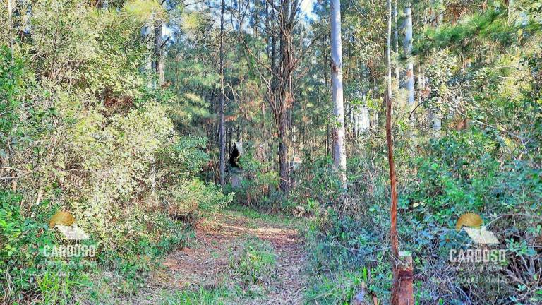Imagem Fazenda à Venda, 30.000 m² em Passo Do Vigário - Viamão Imagem Fazenda à Venda, 30.000 m² em Passo Do Vigário - Viamão