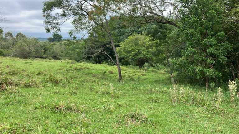 Imagem Imóvel à Venda, 60.500 m² em área Rural De Fernão - Fernão Imagem Imóvel à Venda, 60.500 m² em área Rural De Fernão - Fernão
