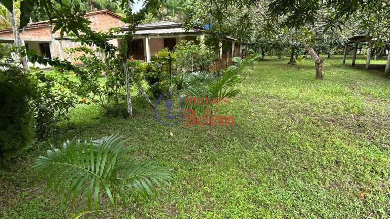 Imagem Casa com 4 Quartos à Venda, 3.970 m² em Centro - Vigia Imagem Casa com 4 Quartos à Venda, 3.970 m² em Centro - Vigia