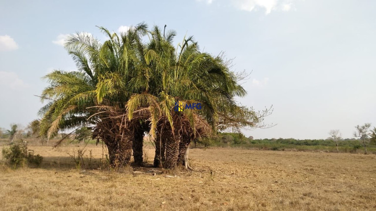 Imagem Chácara à Venda, em União - União Imagem Chácara à Venda, em União - União