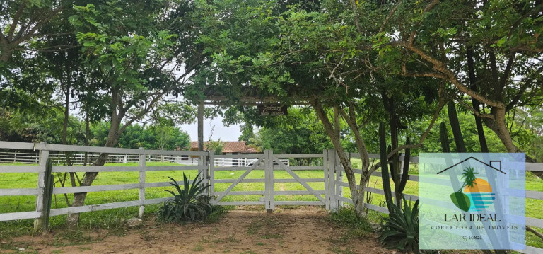 Imagem Chácara com 2 Quartos à Venda, 7.800 m² em Retiro - São Pedro Da Aldeia Imagem Chácara com 2 Quartos à Venda, 7.800 m² em Retiro - São Pedro Da Aldeia