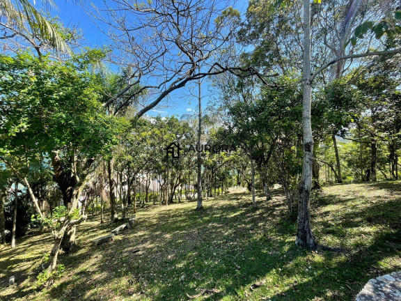 Imagem Terreno à Venda, 199 m² em Estaleirinho - Balneário Camboriú Imagem Terreno à Venda, 199 m² em Estaleirinho - Balneário Camboriú