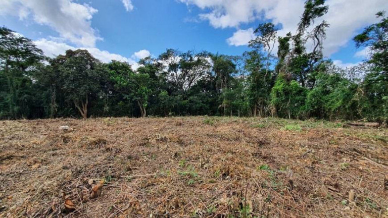 Imagem Terreno em Condomínio à Venda, 3.203 m² em Parque Primavera - Carapicuíba