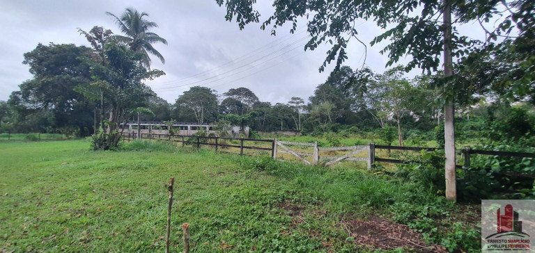 Imagem Fazenda à Venda, 340 m² em Aldeia Dos Camarás - Camaragibe Imagem Fazenda à Venda, 340 m² em Aldeia Dos Camarás - Camaragibe