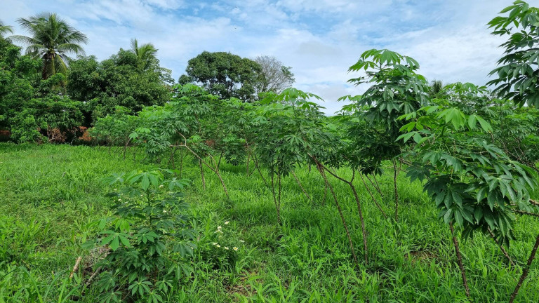 Imagem Terreno à Venda, 12.182 m² em Camará - Aquiraz