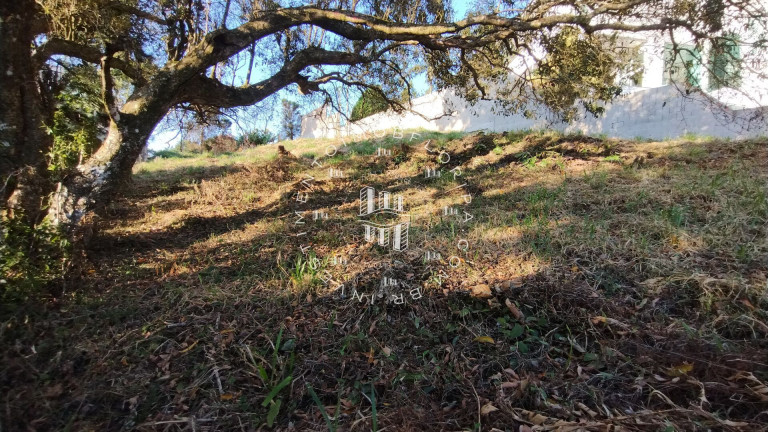 Imagem Terreno à Venda, 757 m² em João Paulo - Florianópolis Imagem Terreno à Venda, 757 m² em João Paulo - Florianópolis