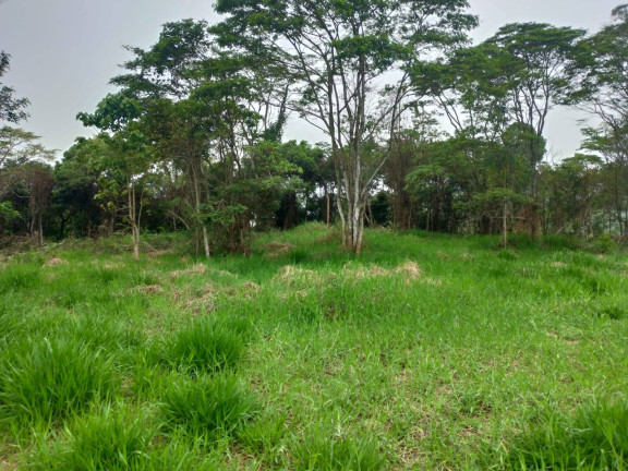 Imagem Terreno à Venda, em Ipiabas - Barra Do Piraí Imagem Terreno à Venda, em Ipiabas - Barra Do Piraí