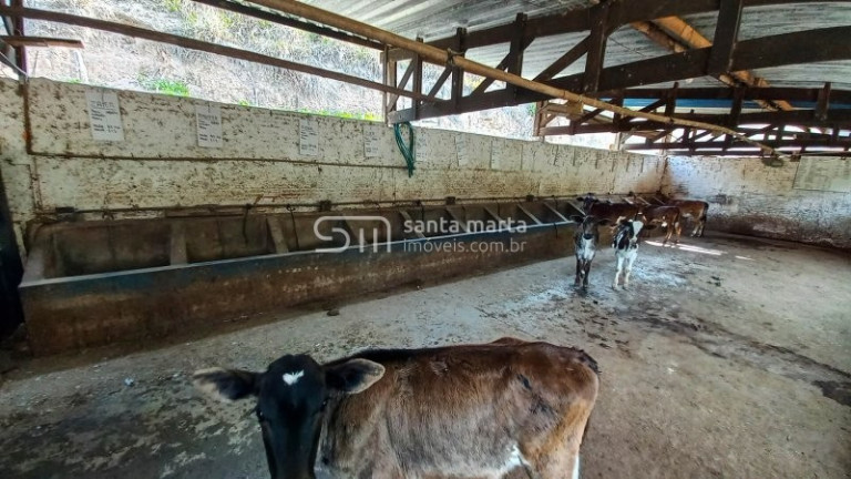 Imagem Imóvel com 3 Quartos à Venda, 1 m² em Bairro Calunga/peitudo - Silveiras Imagem Imóvel com 3 Quartos à Venda, 1 m² em Bairro Calunga/peitudo - Silveiras