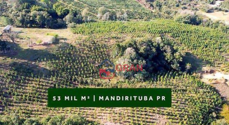 Imagem Chácara com 5 Quartos à Venda, 5.600 m² em Centro - Mandirituba
