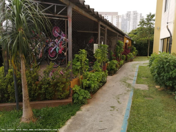 Imagem Apartamento com 3 Quartos à Venda, 70 m² em Parque Esmeralda - São Paulo
