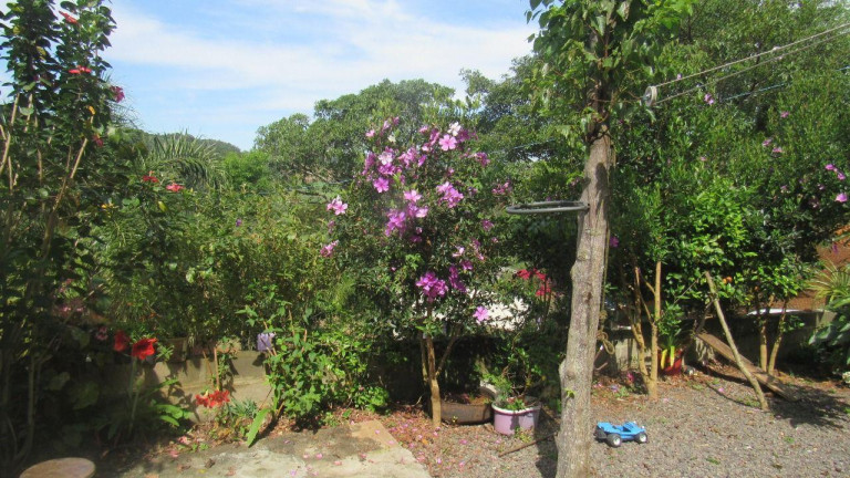 Imagem Casa com 3 Quartos à Venda, 117 m² em Colibri - Concórdia Imagem Casa com 3 Quartos à Venda, 117 m² em Colibri - Concórdia