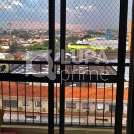 Imagem Apartamento com 3 Quartos à Venda, 62 m² em Vila Antonieta - São Paulo Imagem Apartamento com 3 Quartos à Venda, 62 m² em Vila Antonieta - São Paulo
