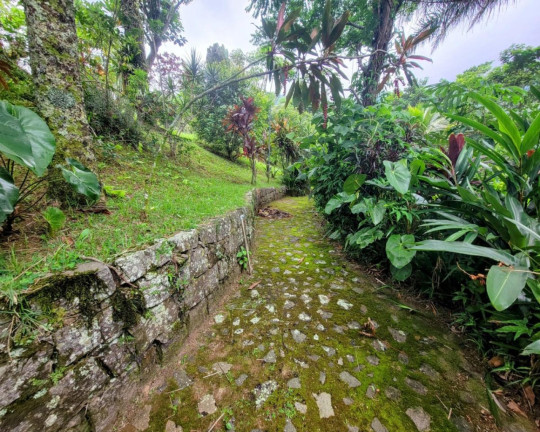 Imagem Terreno à Venda, 88.000 m² em Anil - Rio De Janeiro