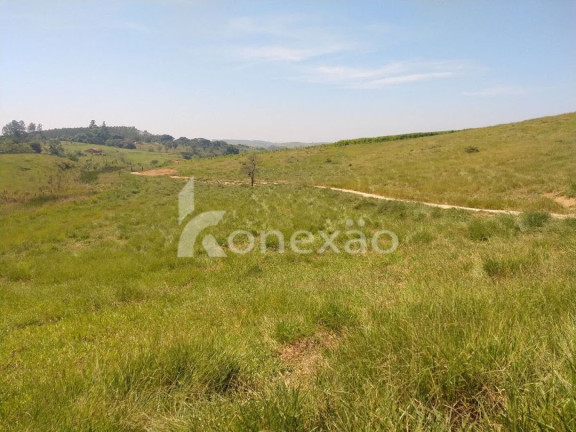 Imagem Fazenda à Venda, 150 m² em Marambaia - Caçapava Imagem Fazenda à Venda, 150 m² em Marambaia - Caçapava