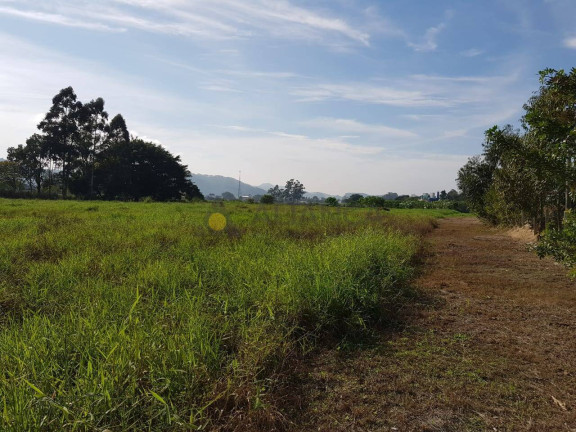 Imagem Terreno à Venda, 7.709 m² em Salseiros - Itajaí