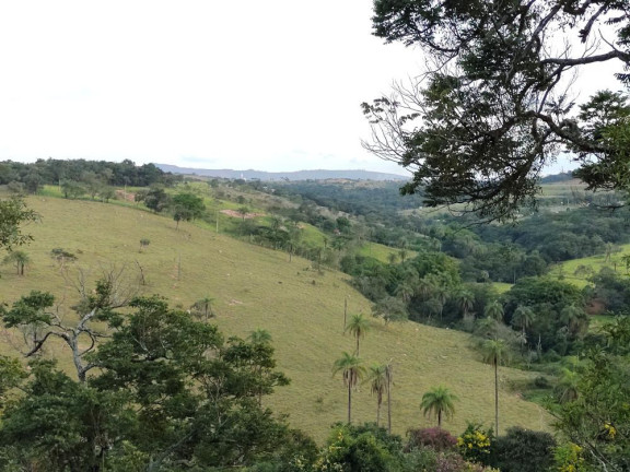 Imagem Imóvel com 8 Quartos à Venda, 32.000 m² em Curralinho - Igarapé