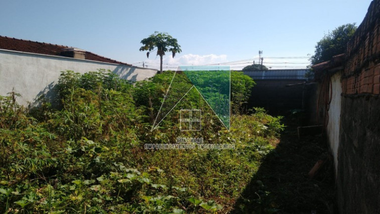 Imagem Terreno para Alugar, em Campos Eliseos - Ribeirão Preto Imagem Terreno para Alugar, em Campos Eliseos - Ribeirão Preto