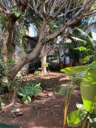 Imagem Casa com 4 Quartos à Venda, 235 m² em Indianópolis - São Paulo Imagem Casa com 4 Quartos à Venda, 235 m² em Indianópolis - São Paulo